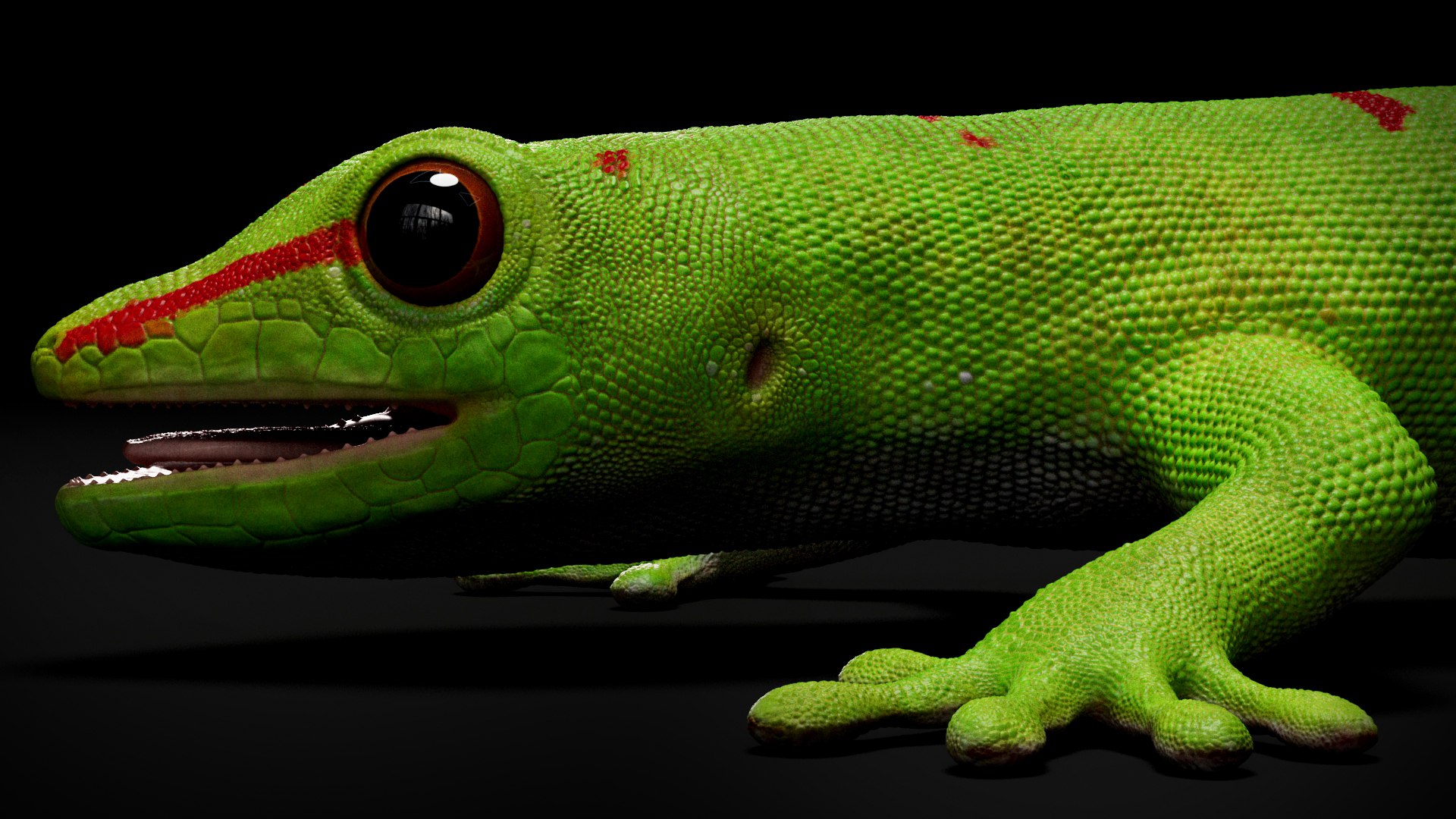 3D HQ Madagascar Day Gecko - TurboSquid 2439319
