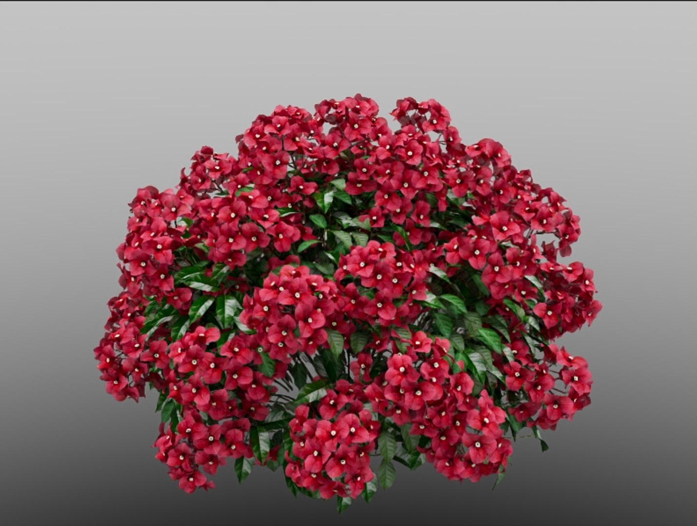 3D Red Flower Ball Ornamental Plant Model - TurboSquid 2379663