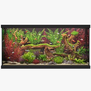 Aquarium 2 3D model