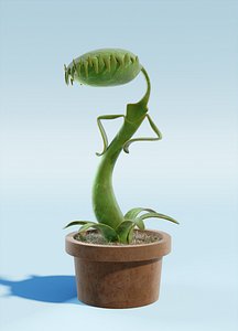 carnivore plant cartoon
