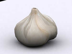3d 3ds garlic