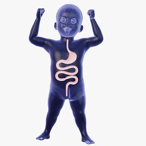 3D Baby s intestines health and overall well-being