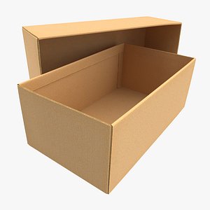 Cardboard Box