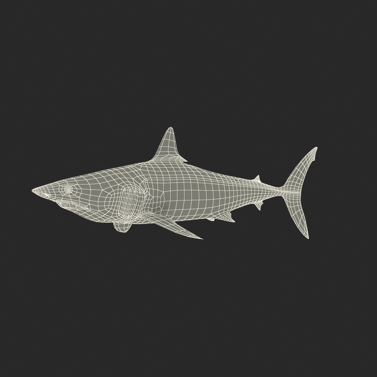shortfin mako shark 2 3d c4d