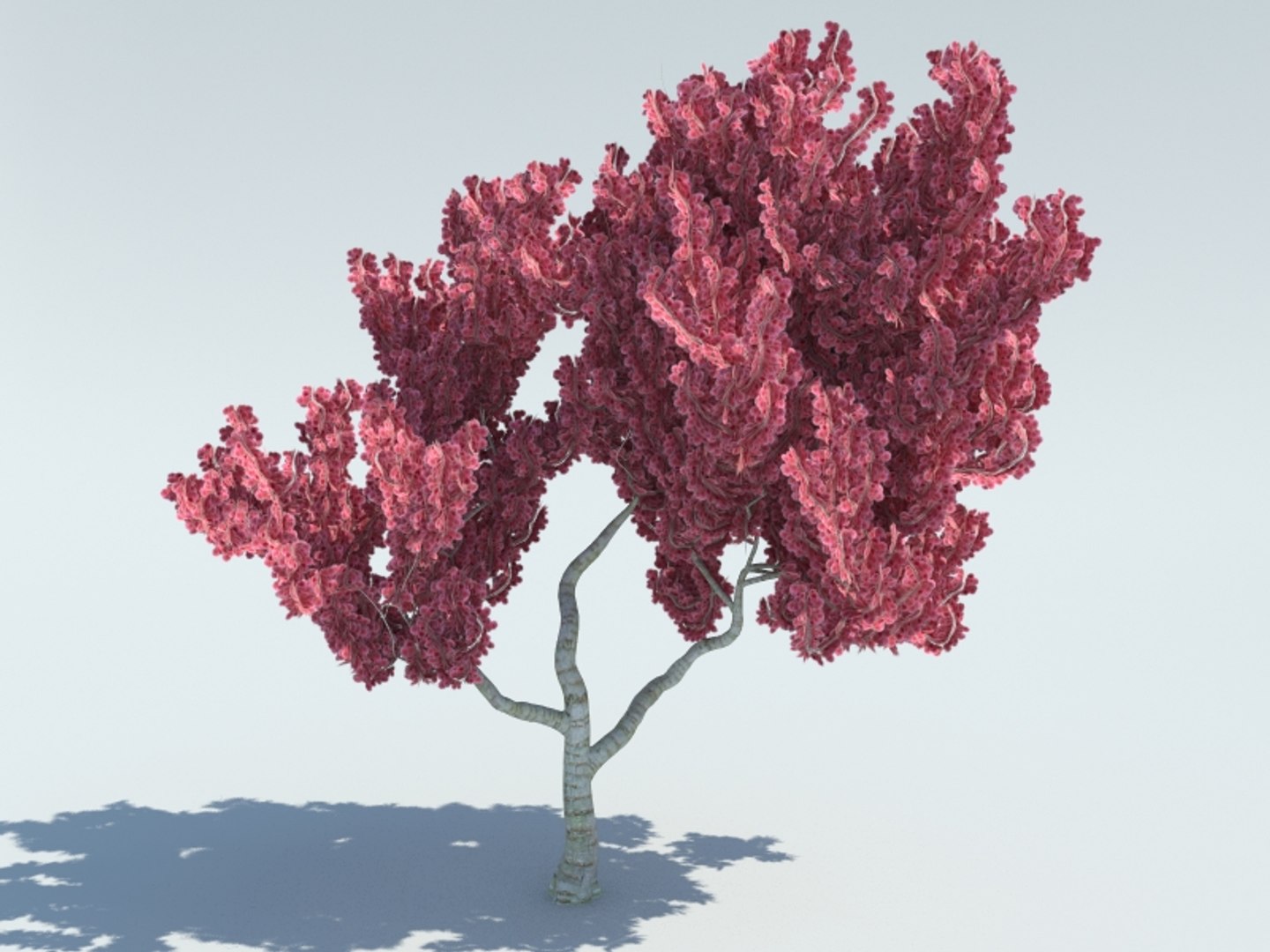 sakura 3D https://p.turbosquid.com/ts-thumb/ZP/4gFSEB/bg3iYzhc/3/jpg/1542146689/1920x1080/fit_q87/11e6b26fea9862a360f85e2fd693e78cf8b5ccbf/3.jpg