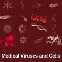 Micro Objects Cells