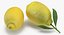 3D lemon lime