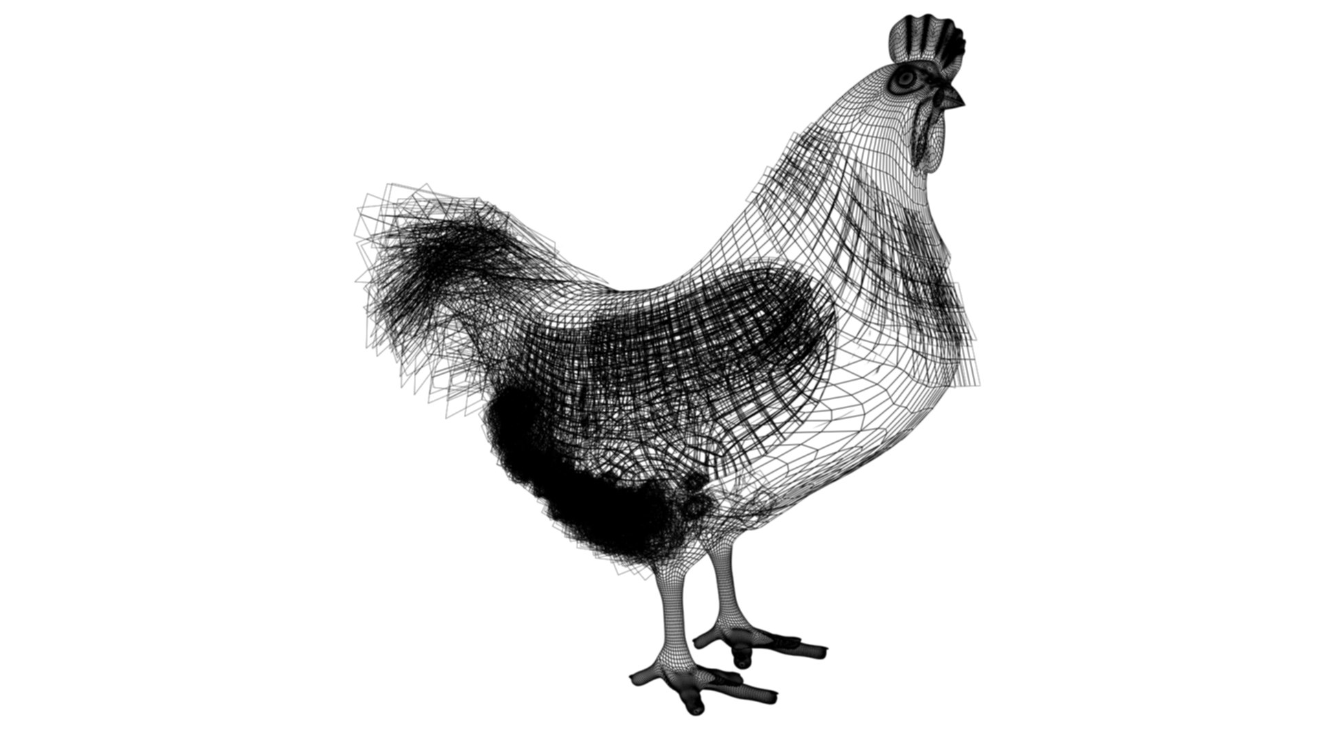 Chicken Roster 3D Model - TurboSquid 2042561