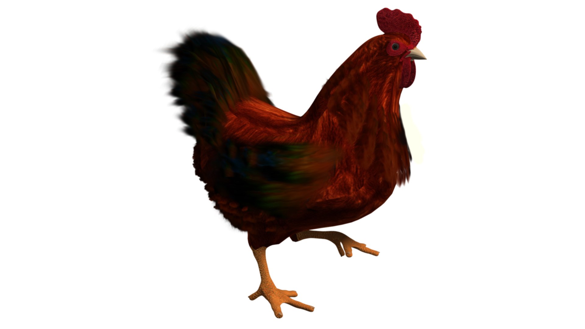 Chicken Roster 3D Model - TurboSquid 2042561