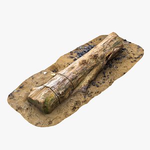 3D model tree trunk shore
