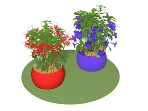 3D model flora flower