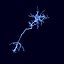cerebral cortex neuron 3D model