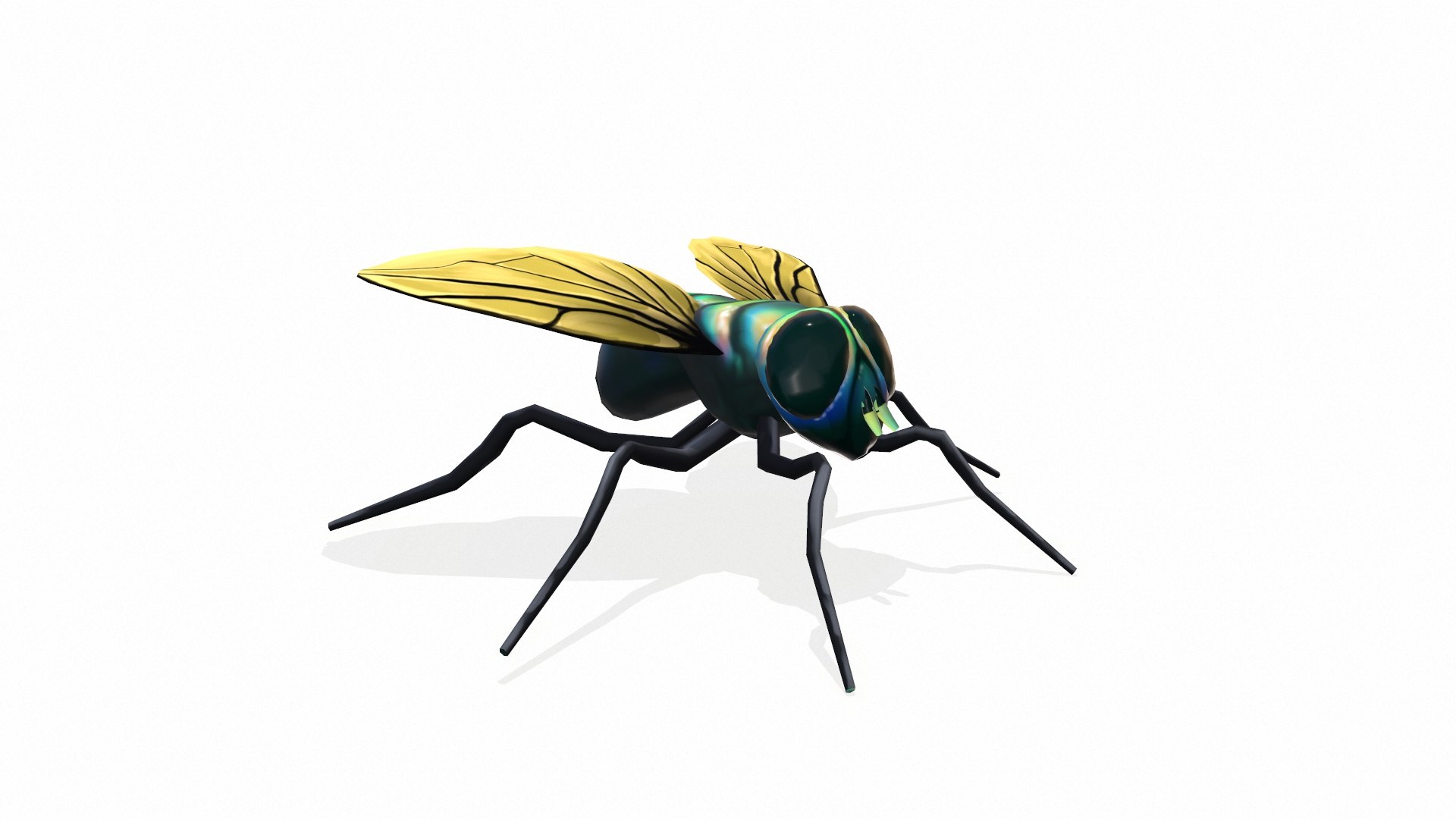 Fly Low Poly 3D Model - TurboSquid 2439259