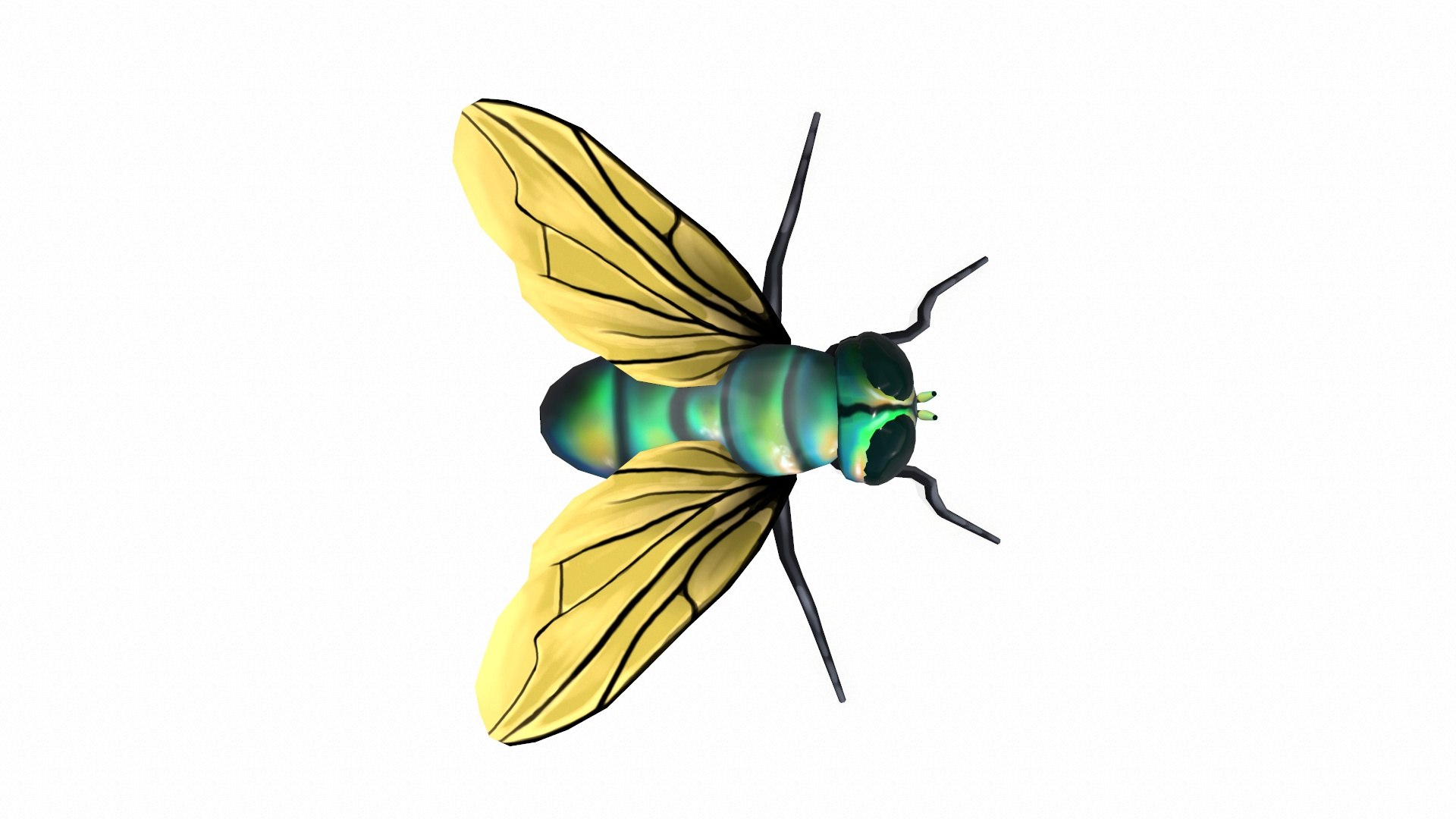 Fly Low Poly 3D Model - TurboSquid 2439259