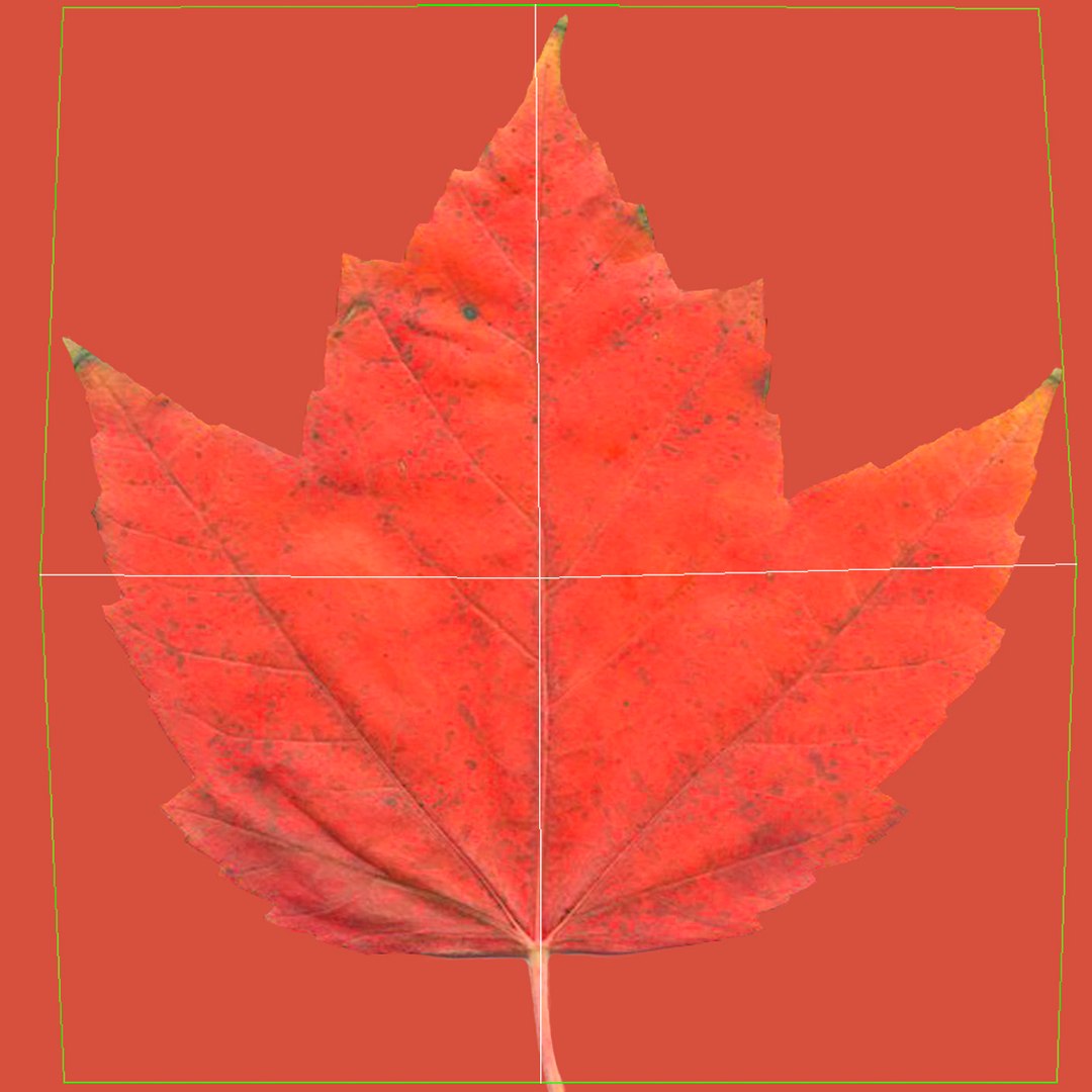 obj red maple tree autumn https://p.turbosquid.com/ts-thumb/ZP/xLLAt5/CuJSF6er/redmapletreeautumn3dmodel19/jpg/1440147156/1920x1080/fit_q87/6bfa41d4876b53ff67dec442329e8eabb97eee28/redmapletreeautumn3dmodel19.jpg