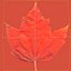 Red Maple Tree Autumn