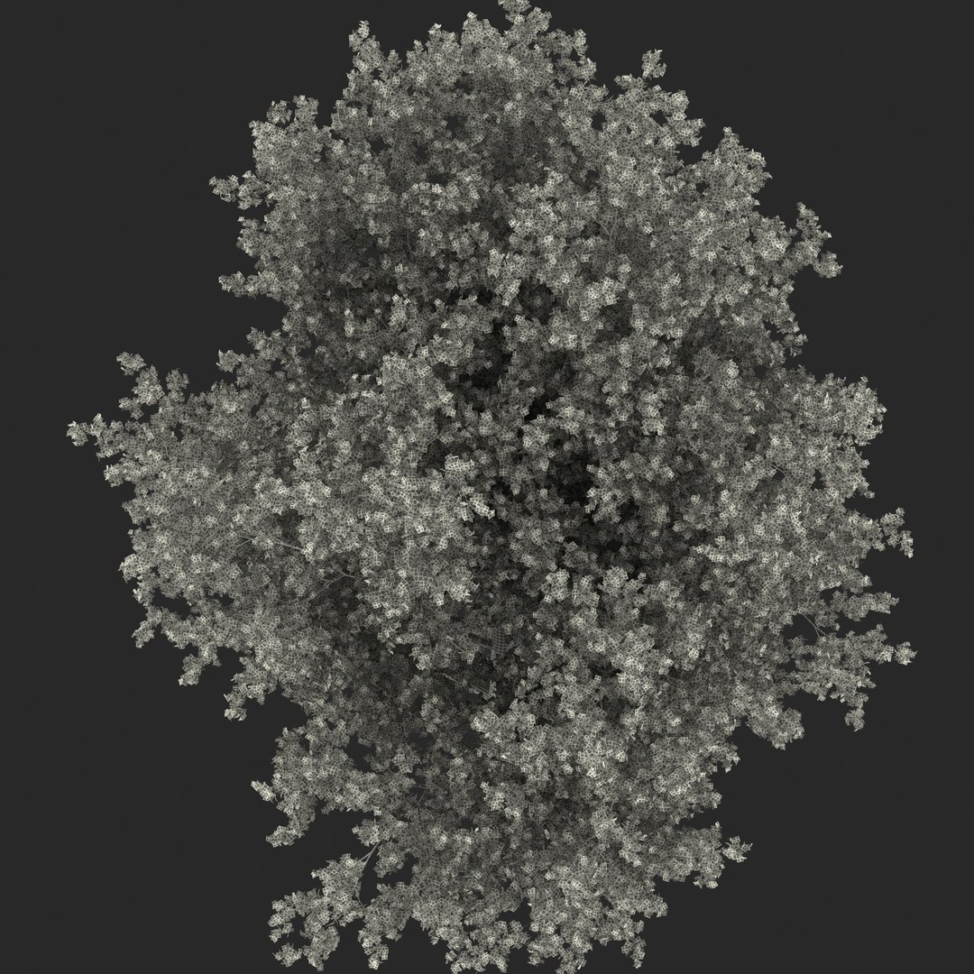 obj red maple tree autumn https://p.turbosquid.com/ts-thumb/ZP/xLLAt5/E6XgGK8j/redmapletreeautumn3dmodel24/jpg/1440147157/1920x1080/fit_q87/dc10796eaa213dcf6f431dcf319805225b5deb46/redmapletreeautumn3dmodel24.jpg