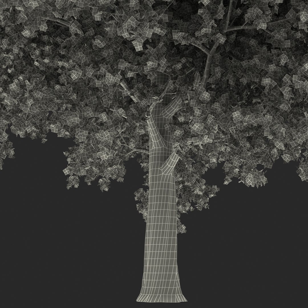 obj red maple tree autumn https://p.turbosquid.com/ts-thumb/ZP/xLLAt5/FY6bpJo1/redmapletreeautumn3dmodel28/jpg/1440147157/1920x1080/fit_q87/3d31e147367af20a1f913ed64fbacb483c3b9f9b/redmapletreeautumn3dmodel28.jpg