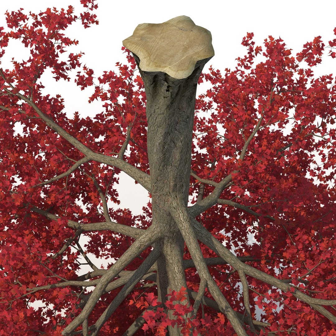 obj red maple tree autumn https://p.turbosquid.com/ts-thumb/ZP/xLLAt5/GOgPynMk/redmapletreeautumn3dmodel08/jpg/1440147156/1920x1080/fit_q87/c37e98d0de3619dedff9ca7e431c7f881aa231a0/redmapletreeautumn3dmodel08.jpg