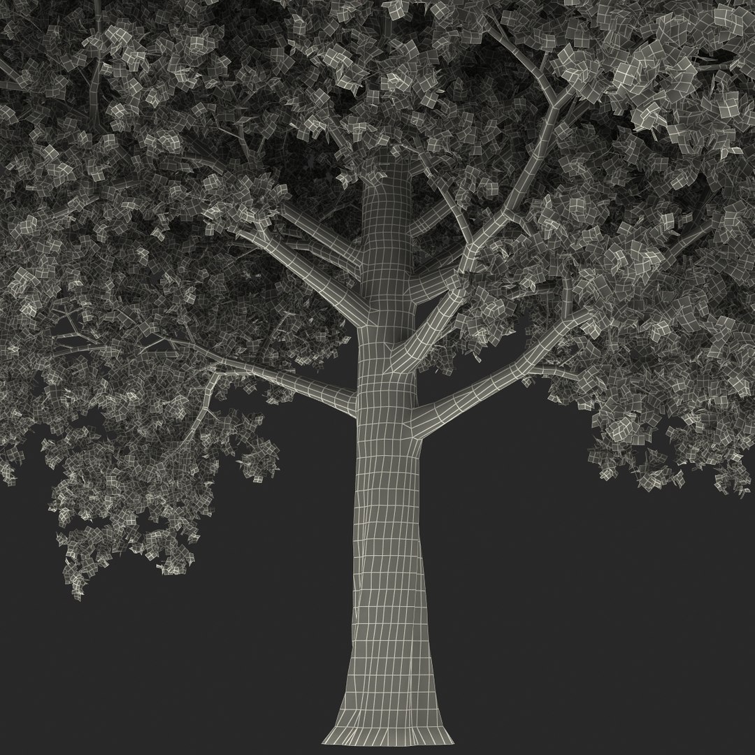 obj red maple tree autumn https://p.turbosquid.com/ts-thumb/ZP/xLLAt5/GydHlGrZ/redmapletreeautumn3dmodel29/jpg/1440147157/1920x1080/fit_q87/5229efa3764fbb0a933e3c57e53d2c8d1788c109/redmapletreeautumn3dmodel29.jpg
