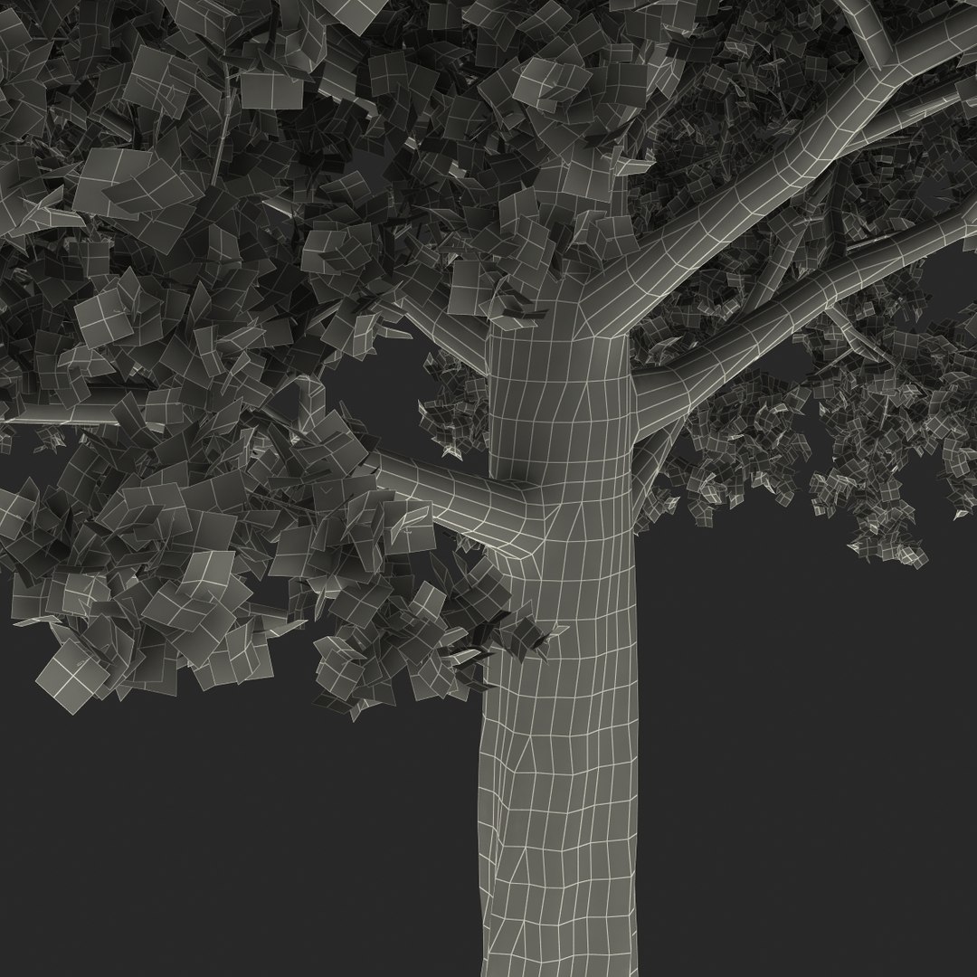 obj red maple tree autumn https://p.turbosquid.com/ts-thumb/ZP/xLLAt5/YIbBVTUR/redmapletreeautumn3dmodel30/jpg/1440147157/1920x1080/fit_q87/8e8e7953adab9e6f2cc86dd51c657ac671910161/redmapletreeautumn3dmodel30.jpg