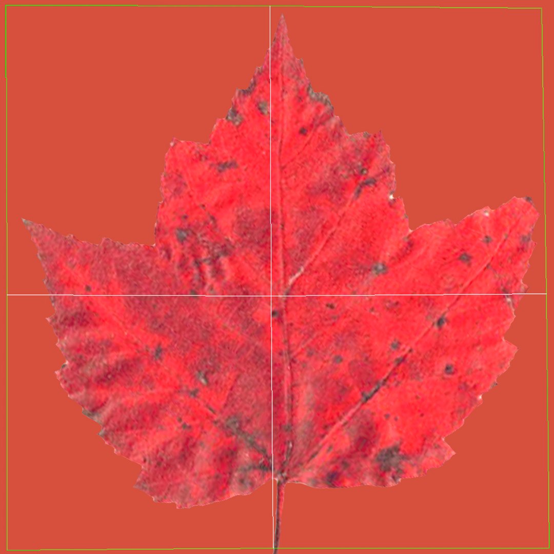 obj red maple tree autumn https://p.turbosquid.com/ts-thumb/ZP/xLLAt5/tnrsMEXX/redmapletreeautumn3dmodel18/jpg/1440147156/1920x1080/fit_q87/40a91ba8b20f08b8cd05152a38a556689f9af2e6/redmapletreeautumn3dmodel18.jpg