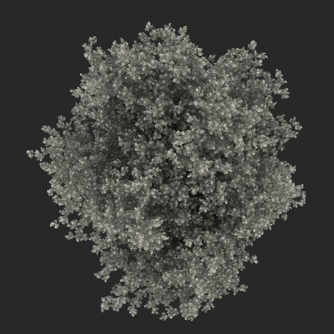 obj red maple tree autumn https://p.turbosquid.com/ts-thumb/ZP/xLLAt5/xbXijp1w/redmapletreeautumn3dmodel25/jpg/1440147157/1920x1080/fit_q87/3f041aab7baefd24f665f6f1a136b4cd12f7c5e4/redmapletreeautumn3dmodel25.jpg
