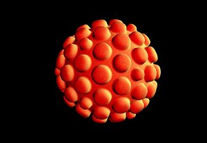 3D ball virus corona