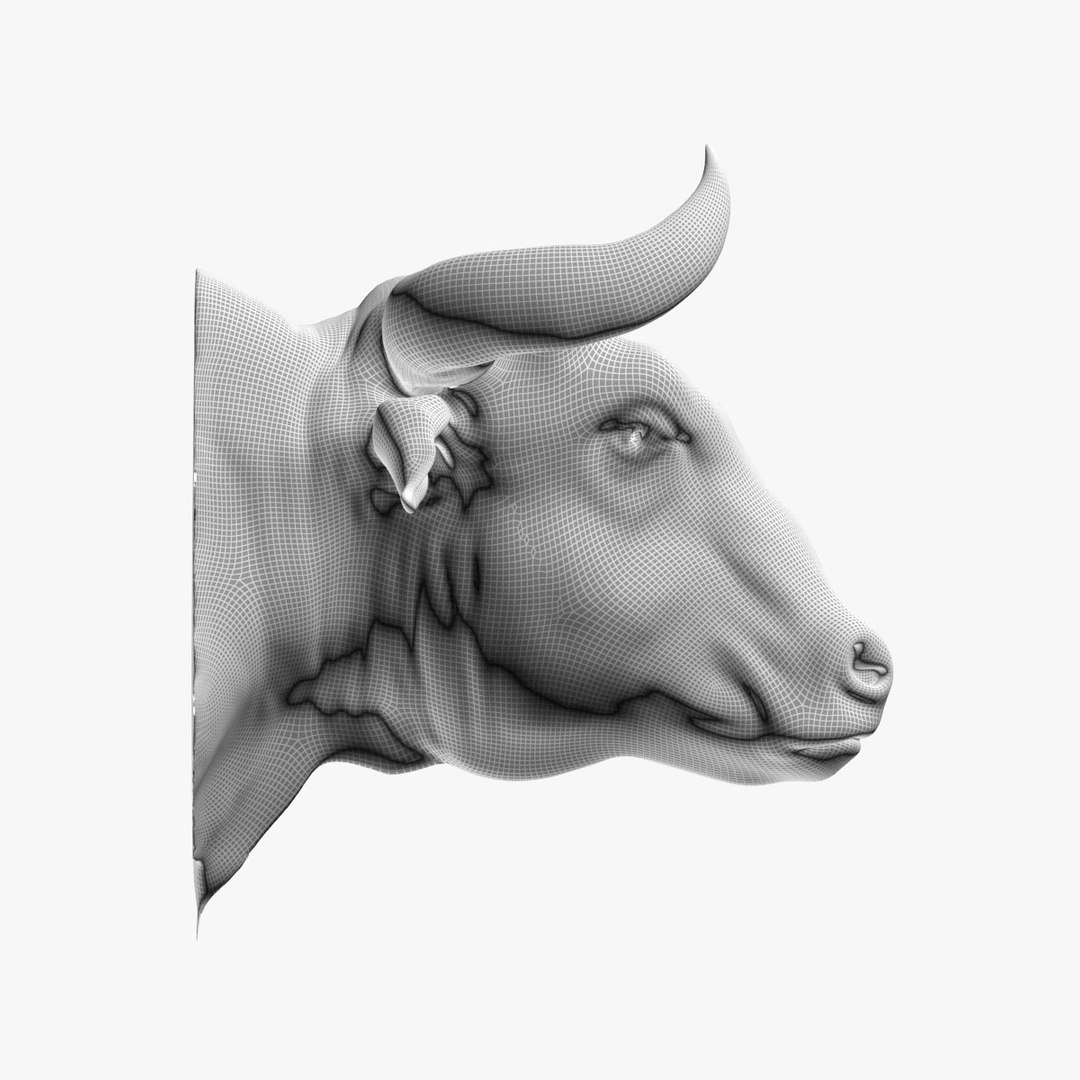 bull head max https://p.turbosquid.com/ts-thumb/ZQ/HmTmqS/Almo1p0N/bull04/jpg/1459016719/1920x1080/fit_q87/940949e334262c85da00a755734fce08222f4c3b/bull04.jpg