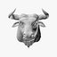 Bull head