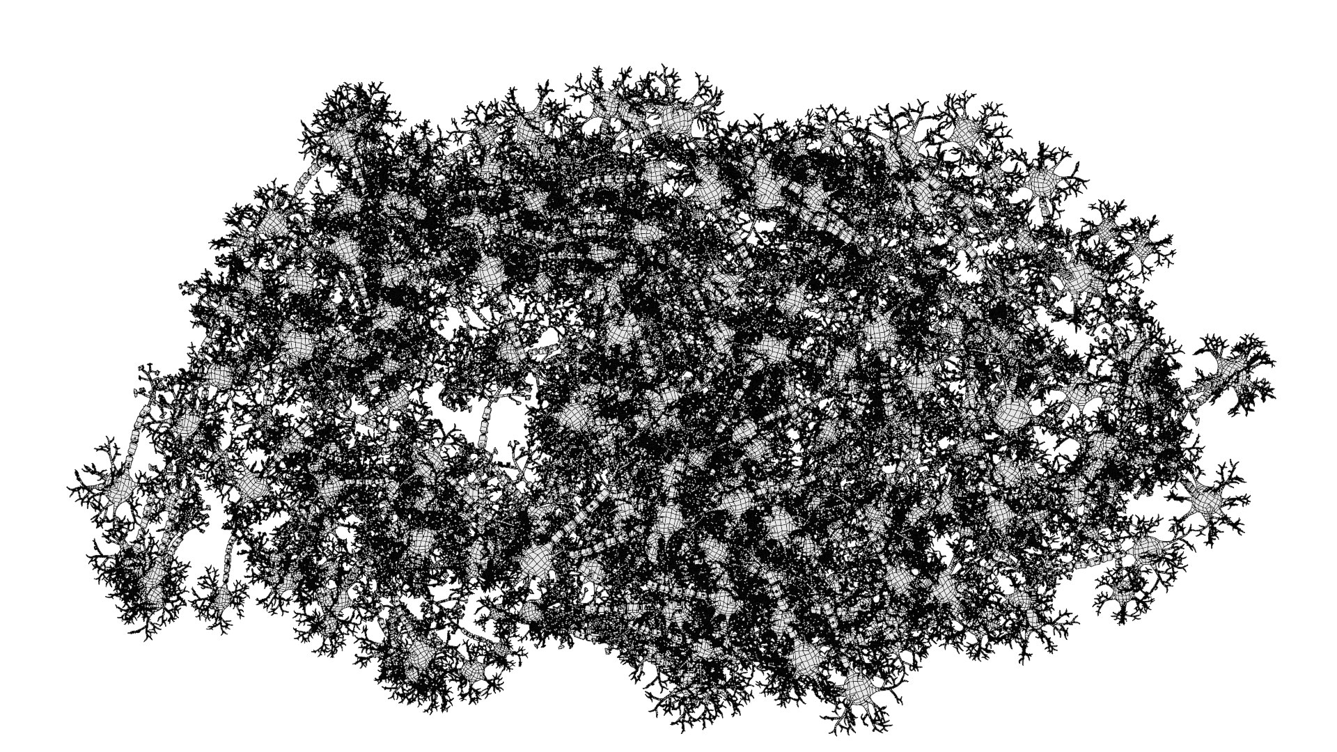 3D Neural Network 3 https://p.turbosquid.com/ts-thumb/ZQ/JkF7wi/J2/neuralnetwork3w0/png/1628243255/1920x1080/fit_q87/a1ee4c9a9c36c947a605fa948e1d7a840588b5c9/neuralnetwork3w0.jpg
