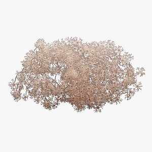 Neural Network 3