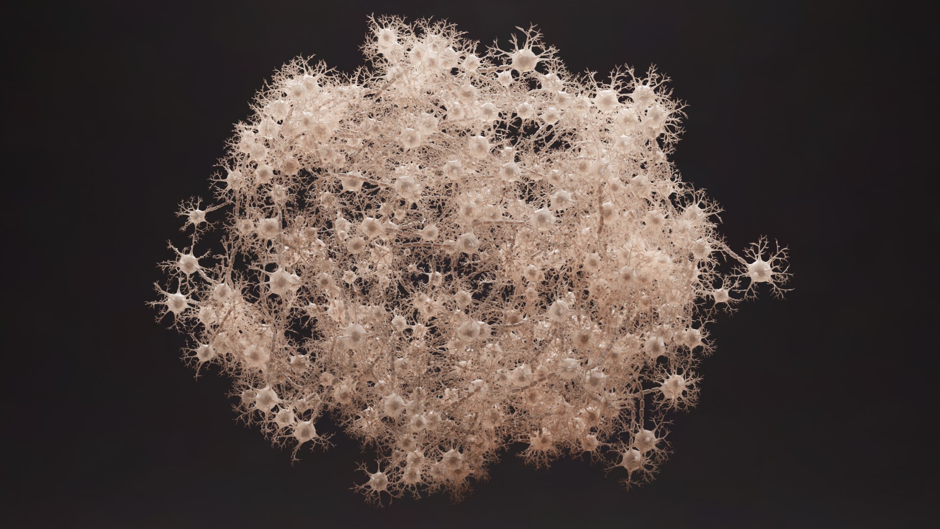 3D Neural Network 3 https://p.turbosquid.com/ts-thumb/ZQ/JkF7wi/Tp/neuralnetwork3c/png/1628243252/1920x1080/fit_q87/4c94607dcf84a4190a3d7a848b7f4efc22eabe4e/neuralnetwork3c.jpg