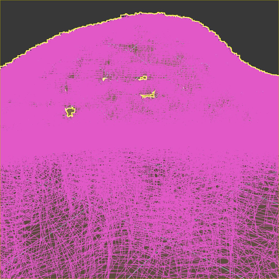 grass plant 3D model https://p.turbosquid.com/ts-thumb/ZQ/OeY4Bw/Ki/4/jpg/1613309376/1920x1080/fit_q87/ca91a10a6e1fdafaad89c1baf4d5b083c361002d/4.jpg
