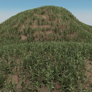 grass plant 3D model