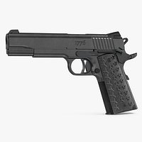 Sig Sauer 1911T We The People 45 ACP model 02