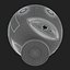 Insta360 Pro 360 Degree Camera