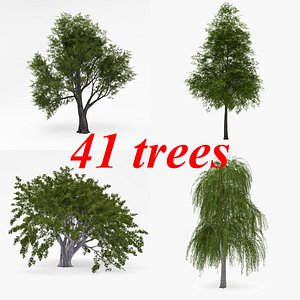 3d deciduous v-ray tree model