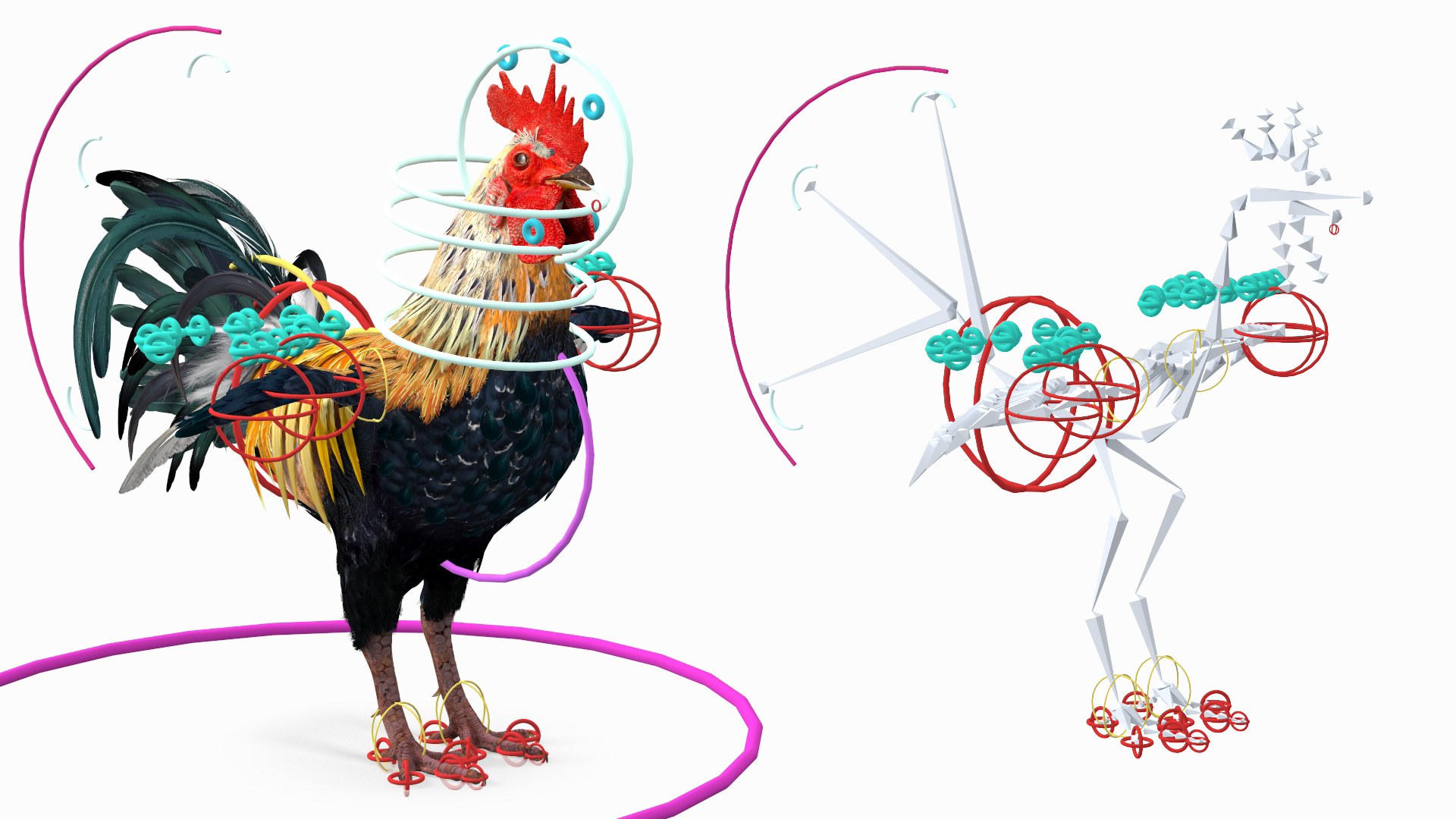 Rainbow Rooster Rigged 3D Model - TurboSquid 2162308
