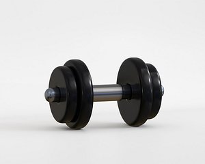 3D rubber dumbbells with perforated handle 3d model