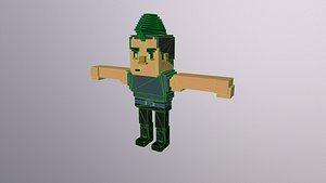 3D Voxel Man model