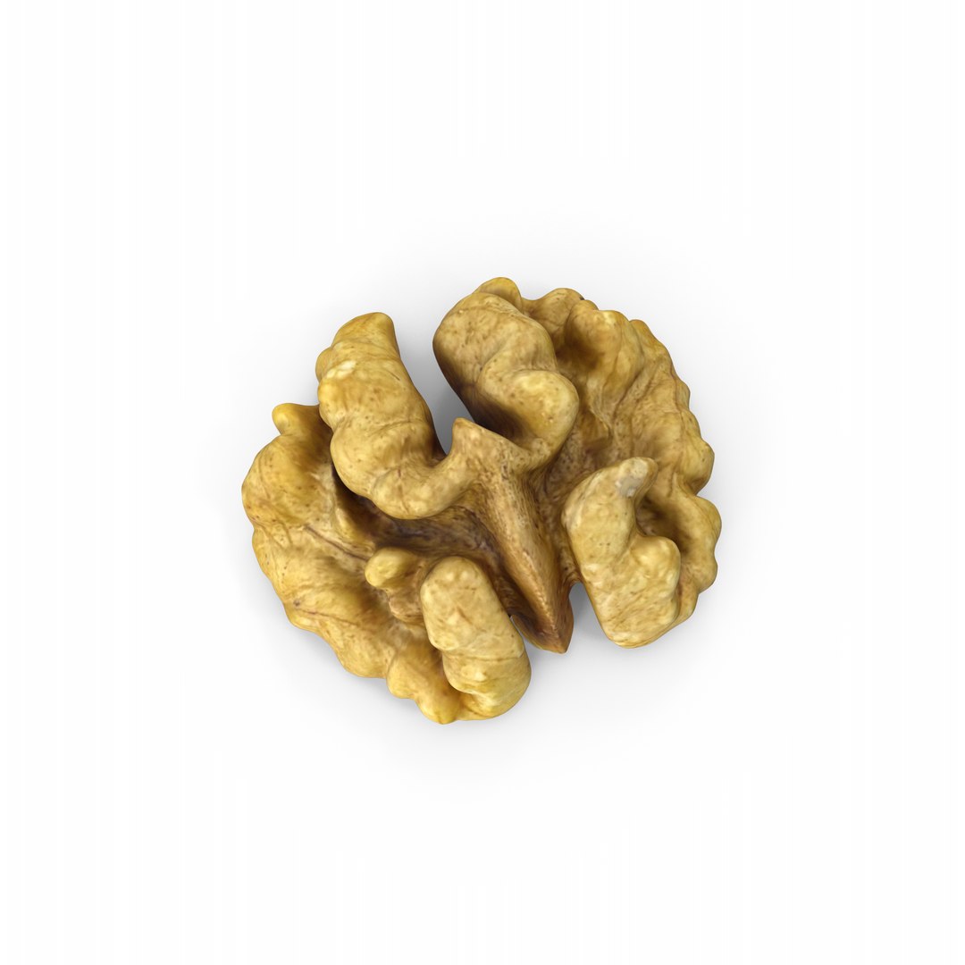 3D Model Walnut - TurboSquid 2404020