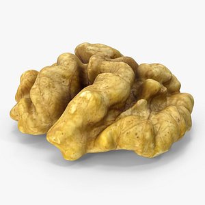 3D model Walnut