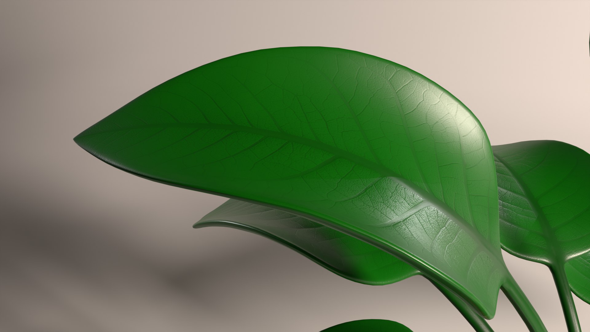 3D model Cartoon pothos potted plant https://p.turbosquid.com/ts-thumb/ZR/IE5UWN/N8/p_13/png/1766386457/1920x1080/fit_q87/5649e723488f22b7dd738632e88c33788df4052d/p_13.jpg