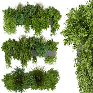 Collection plant vol 255 - Indoor - balcony - ampelous - 3dmax