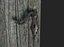 3D wooden medieval door