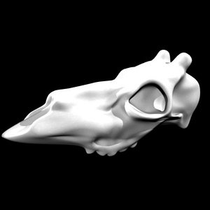 3d red deer model