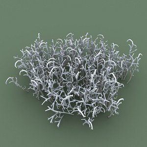 3d reindeer moss model