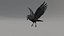 Raven Animated