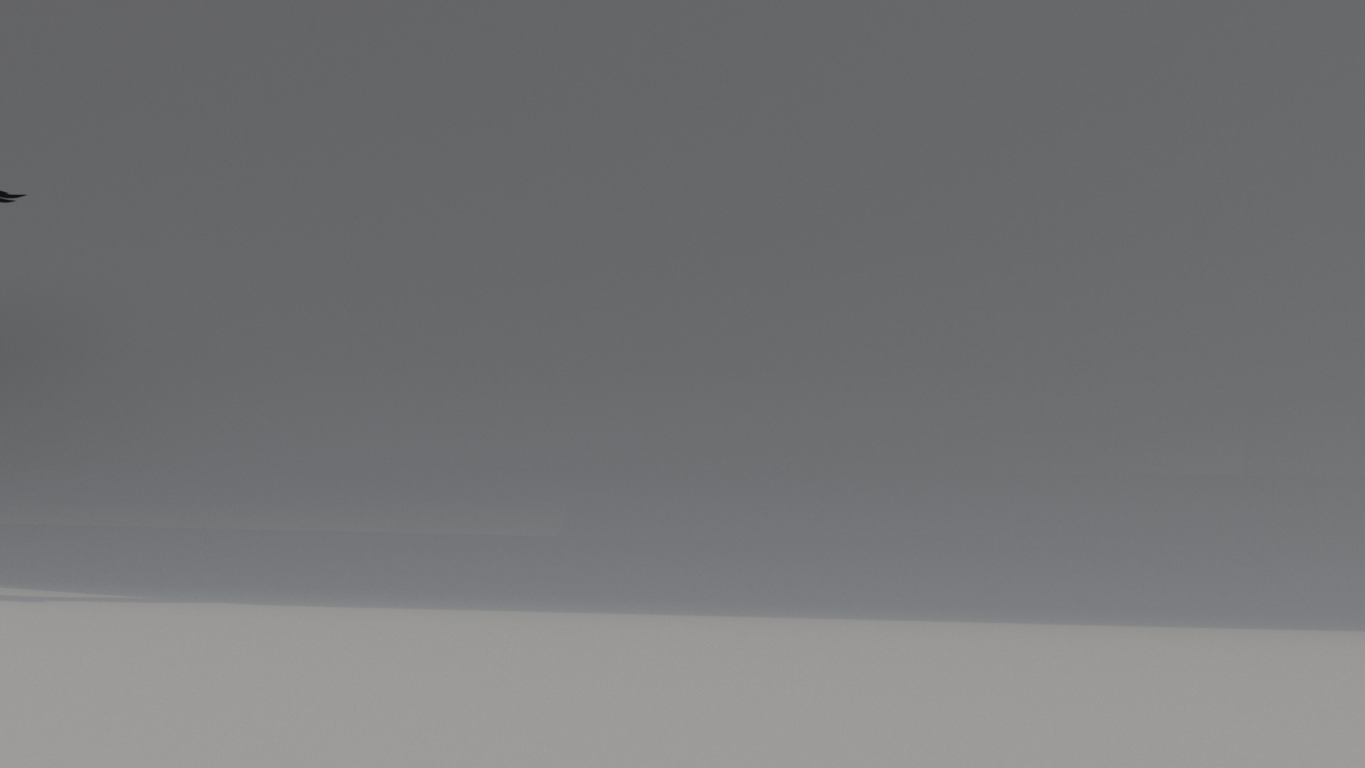 Raven Animated 3D model https://p.turbosquid.com/ts-thumb/ZR/ptHsx6/py/0000/jpg/1640093947/1920x1080/turn_fit_q99/d3b528680b90ce644f1839094b3637aaf86a1b4b/0000-1.jpg